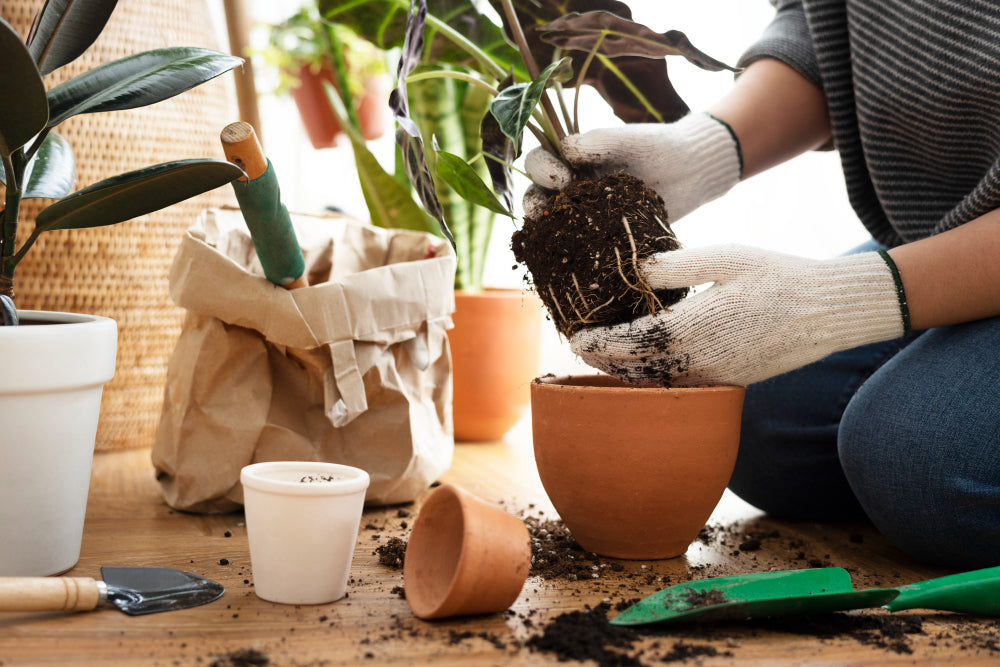 How Much Potting Mix Do You Need Per Pot?