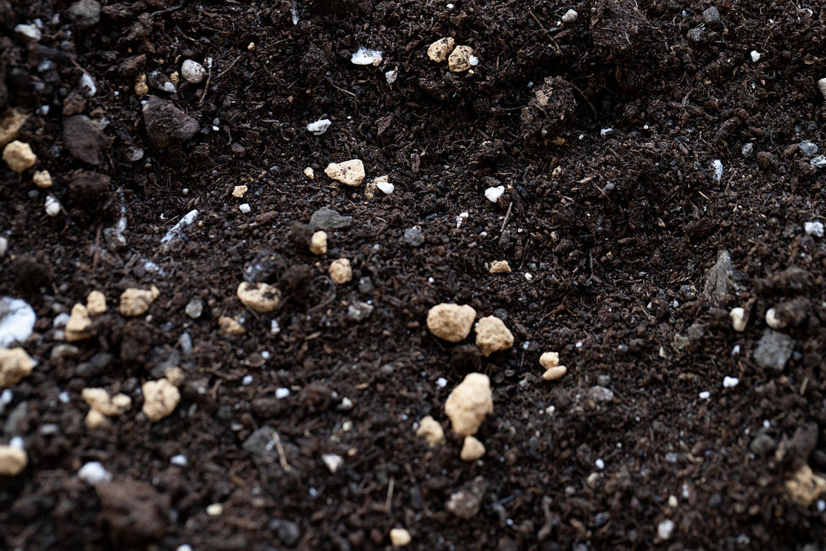 What Makes a Good Potting Mix? The Two Numbers That Matter