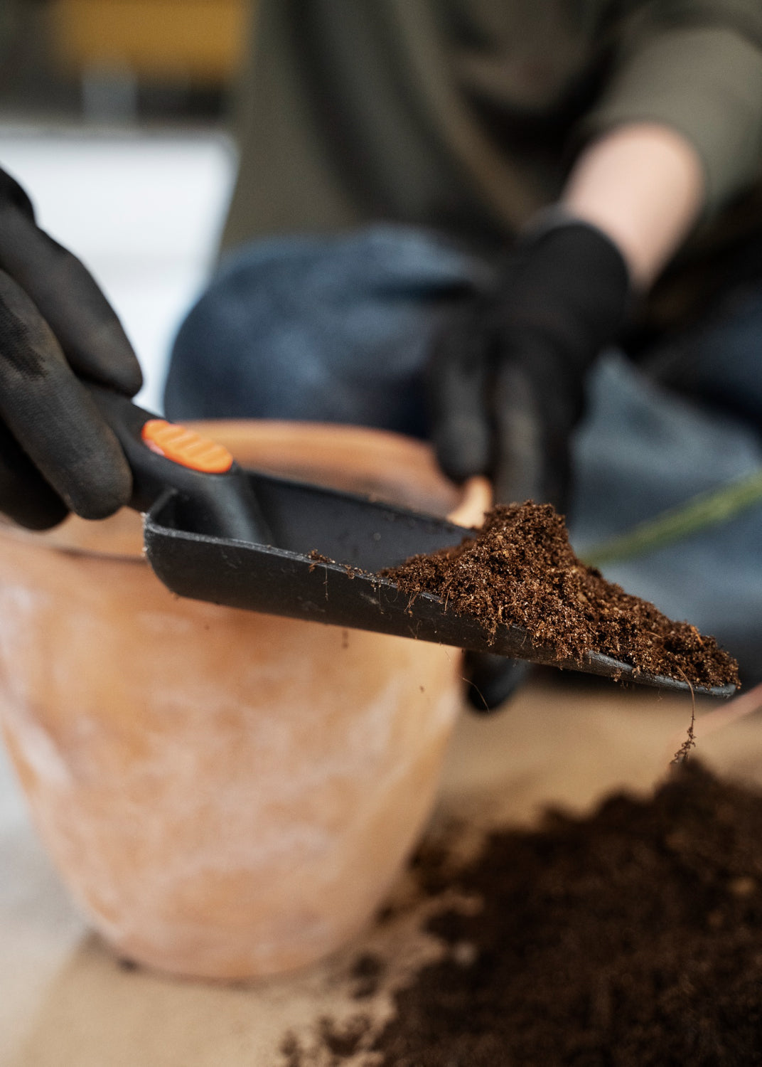 Is Cocopeat Bad for Plants? When 100% Cocopeat Fails