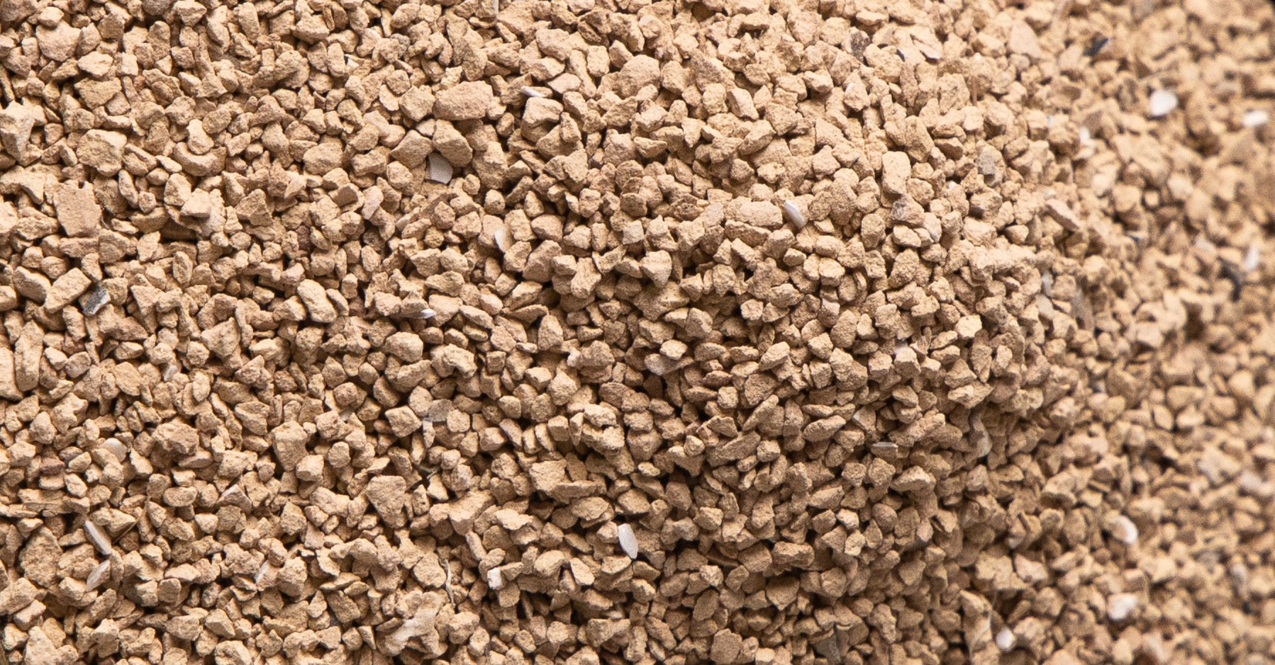 Zeolite for Plants: What It Actually Does in a Potting Mix