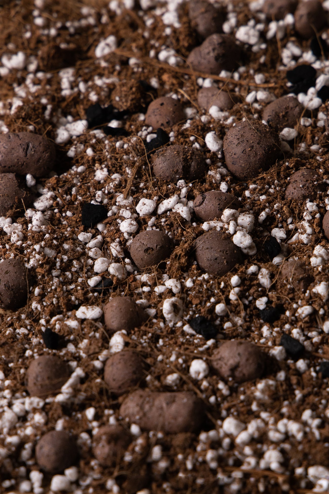 AROID ALCHEMIST - Aroid Potting Mix, image 2 of 2
