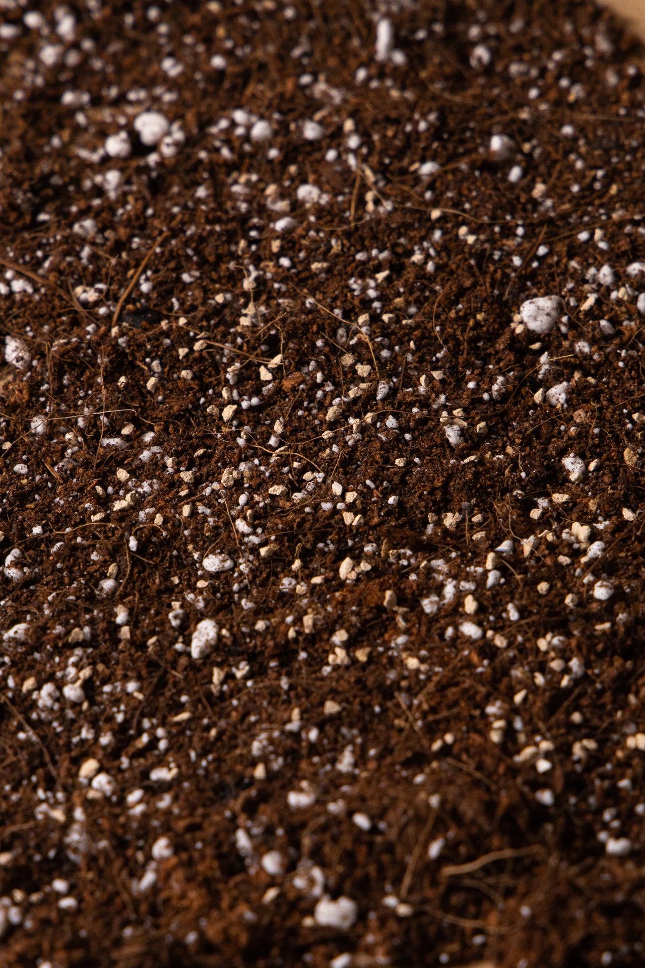 BLOOM BOOSTER - Soil for Flowering Indoor Plants, image 2 of 2