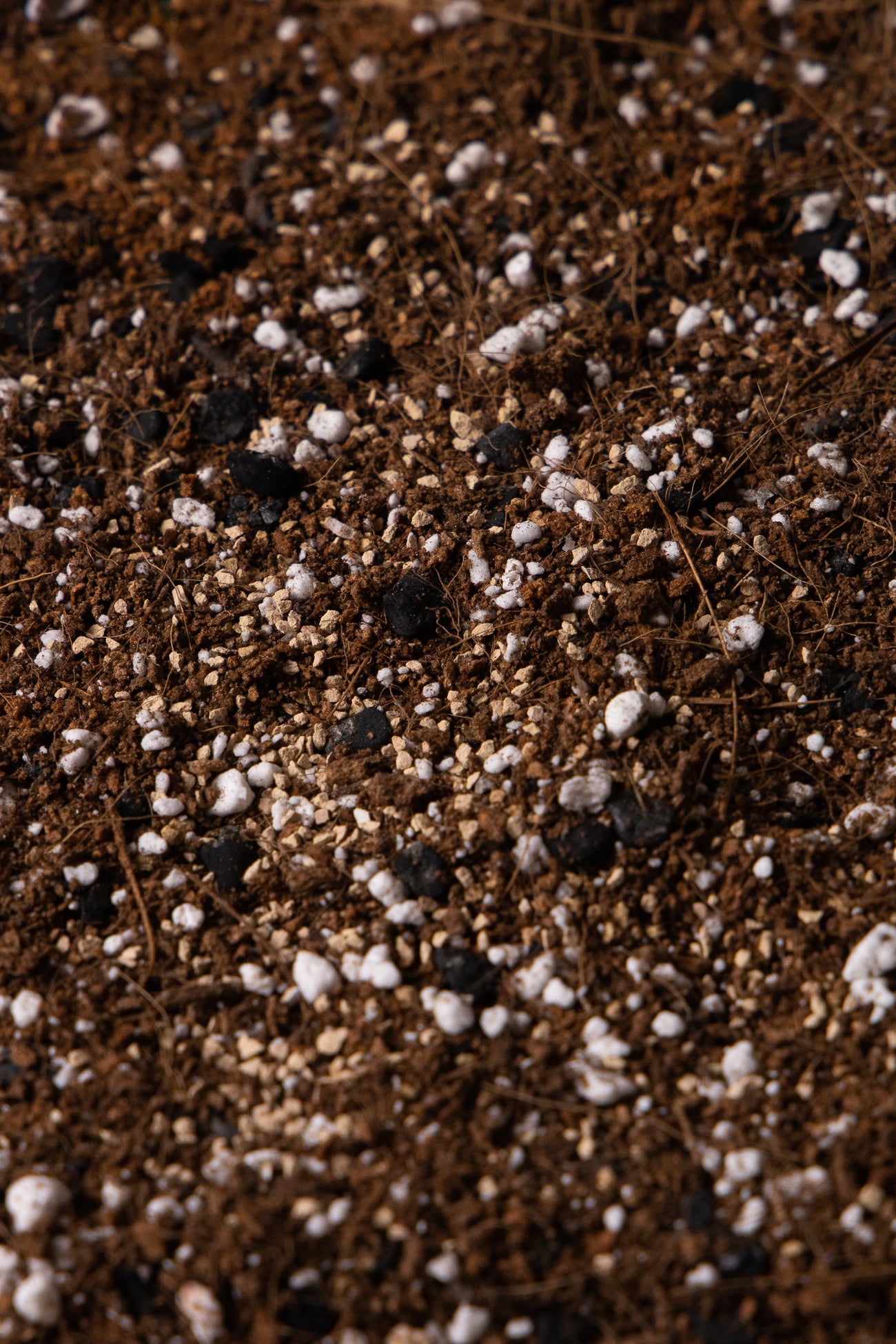 DESERT JEWEL - Succulent & Cactus Soil Mix, image 2 of 2