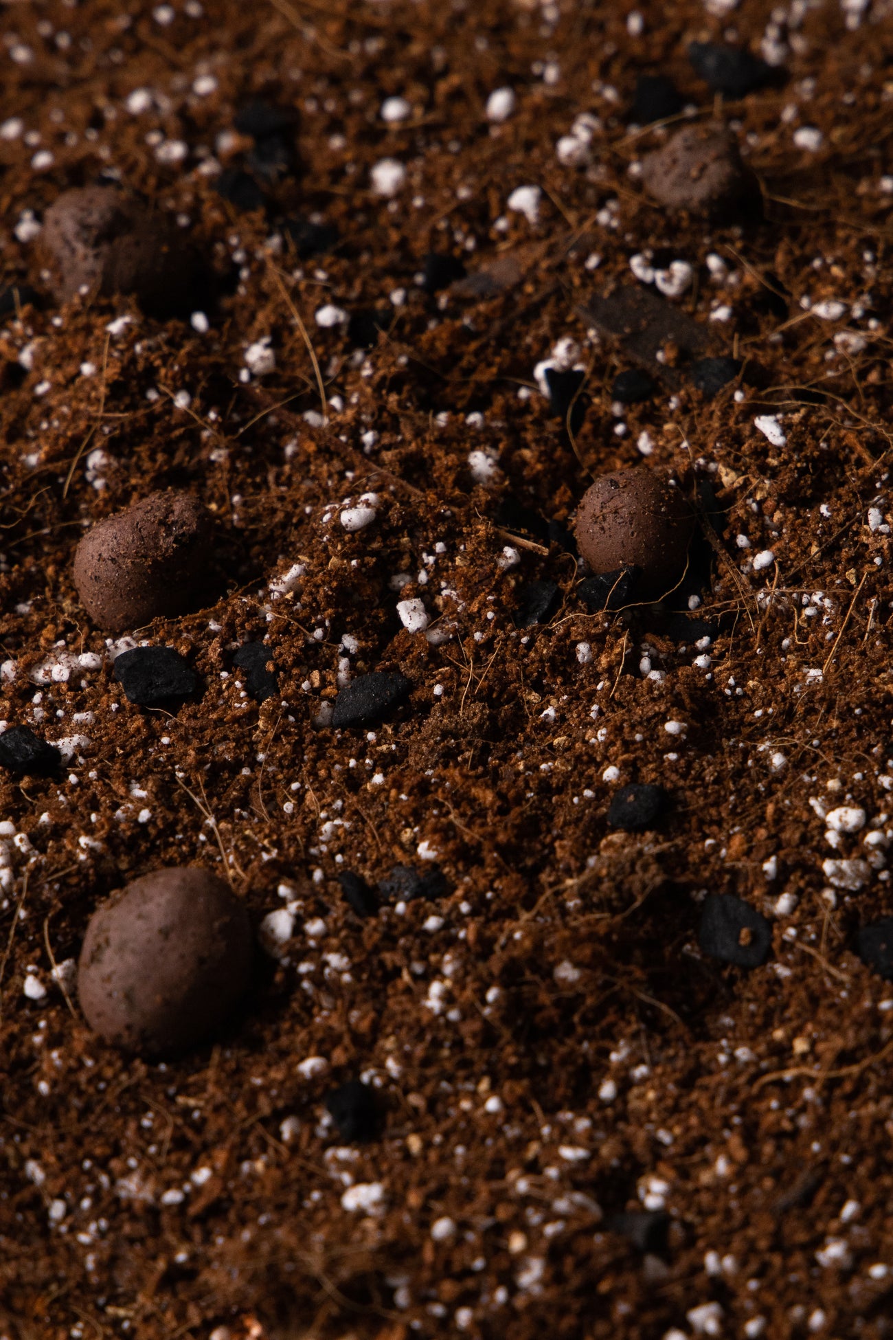 FROND SOVEREIGN - Soil for Palms & Cycads, image 2 of 2