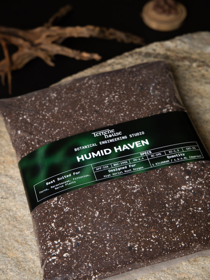 HUMID HAVEN - Soil for Ferns, Calatheas & Marantas substrate mix, Terrene House