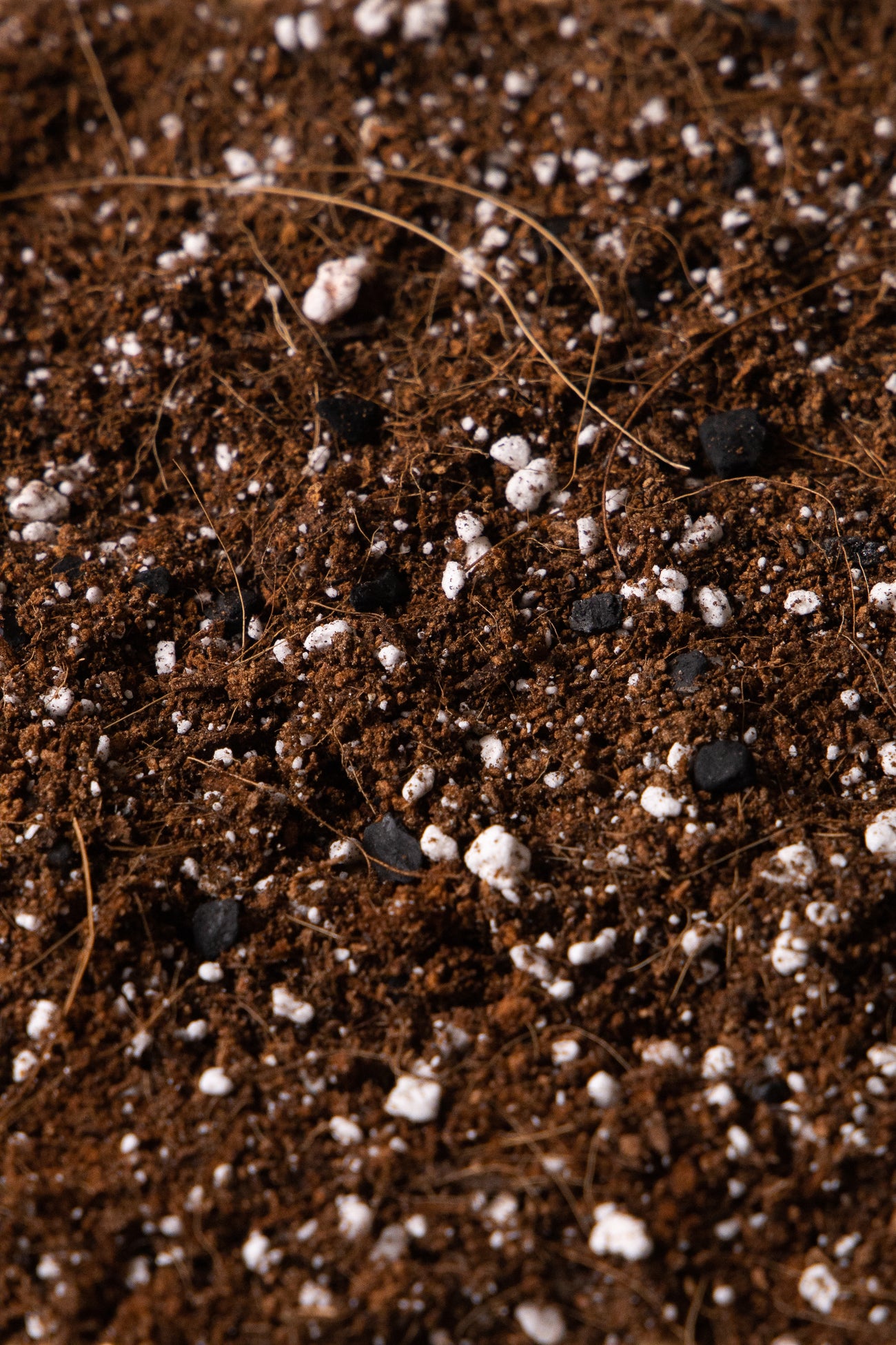HUMID HAVEN - Soil for Ferns, Calatheas & Marantas, image 2 of 2