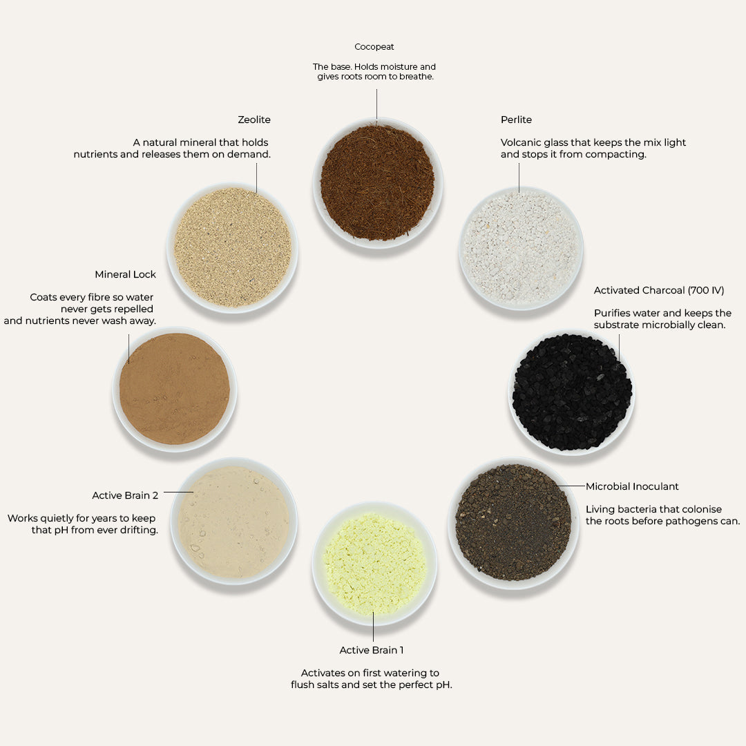 BLOOM BOOSTER - Soil for Flowering Indoor Plants, image 7 of 8
