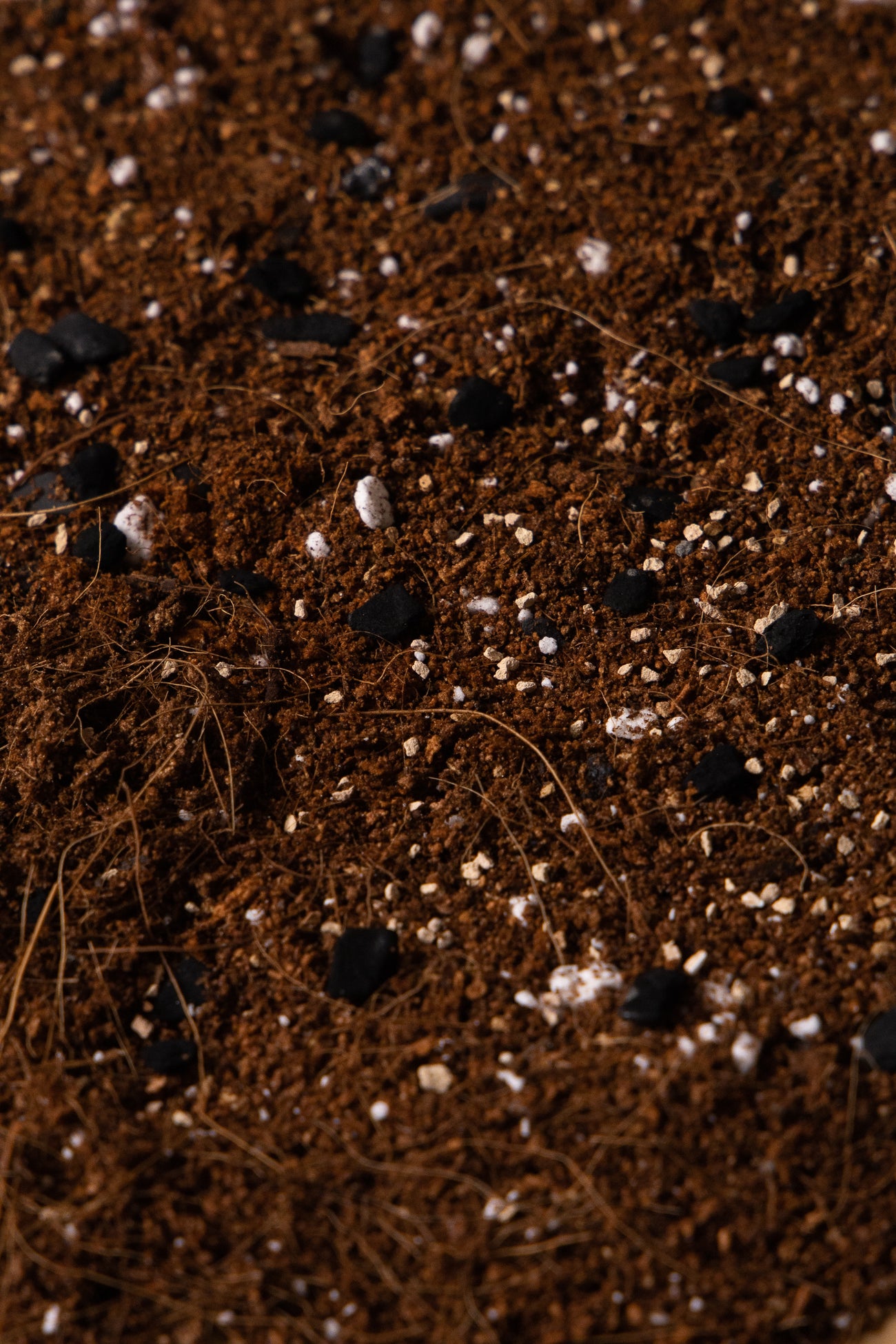 IRON ROOTS - Soil for Snake Plant, ZZ & Dracaena, image 2 of 2