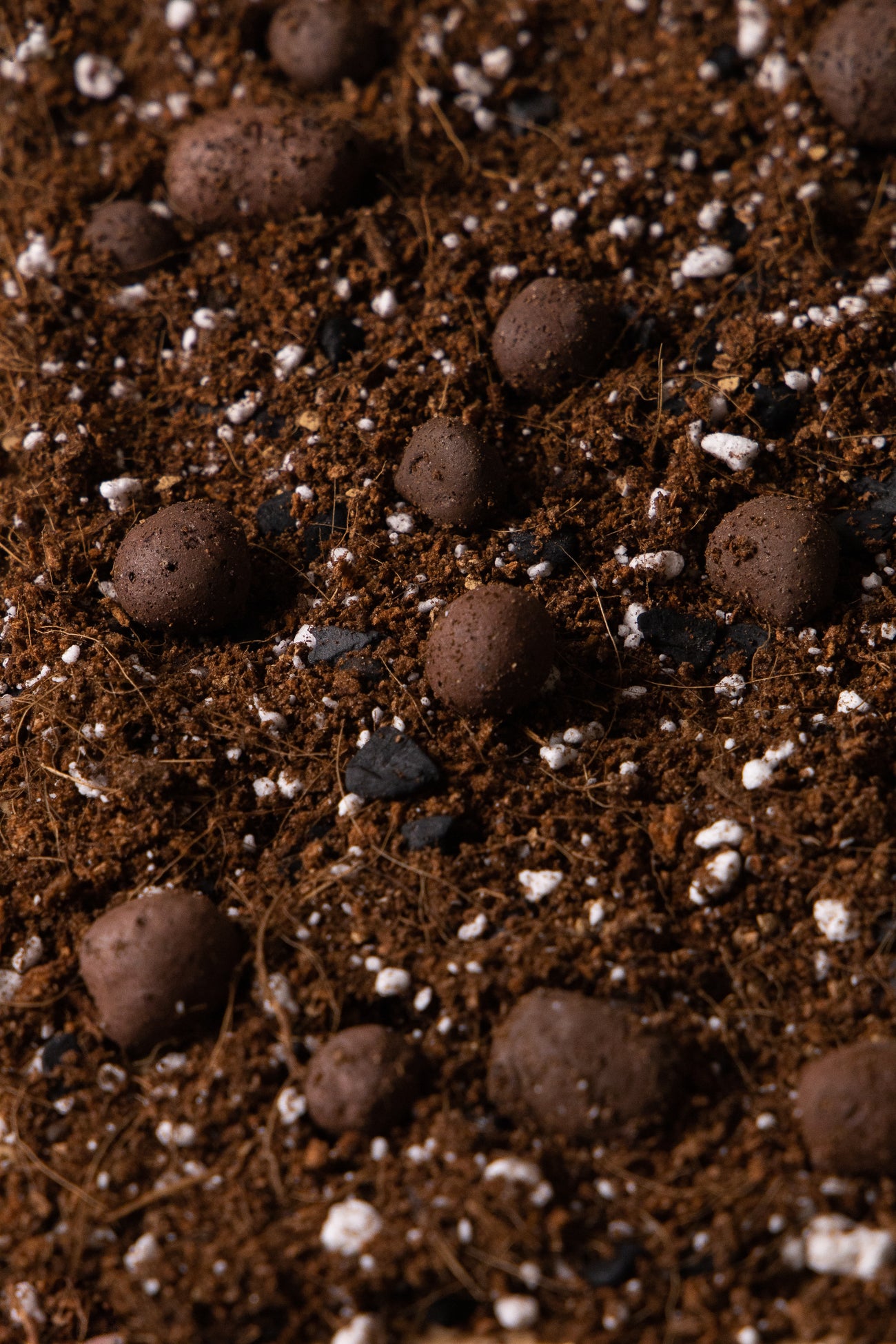 SKY DWELLERS - Orchid & Epiphyte Potting Mix, image 2 of 2